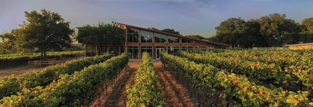 Fredricksburg Texas Hill Country wine tasting tour near San Antonio